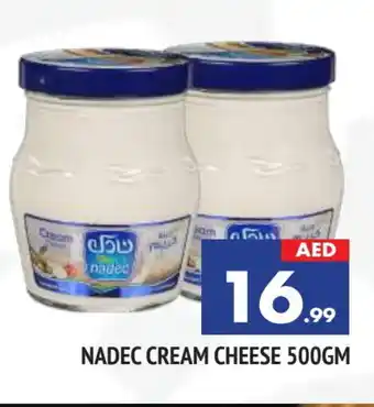 Al Madina NADEC Cream Cheese offer