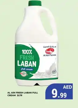 Kerala Hypermarket AL AIN Laban offer