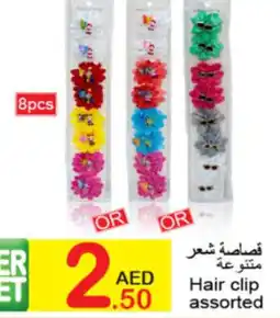 Green House Hair clip assorted offer