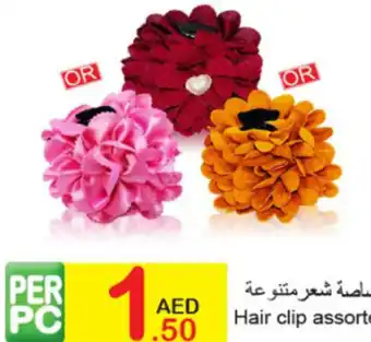 Green House Hair clip assorted offer