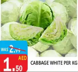 United Hypermarket Cabbage white offer