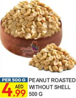 Dream Land Center Peanut roasted without shell offer