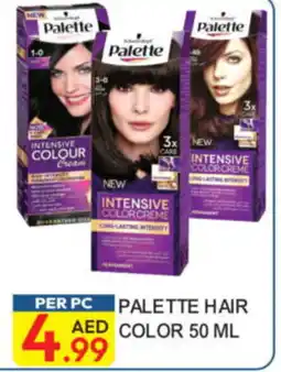 Dream Land Center Palette hair color offer