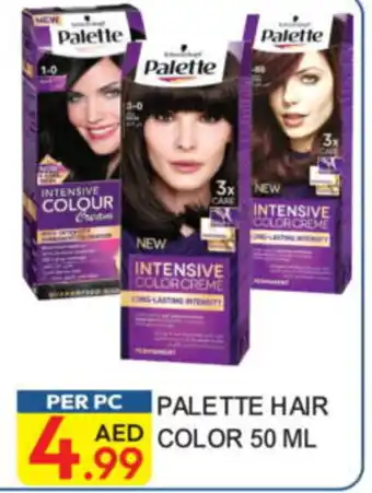 Dream Land Center Palette hair color offer