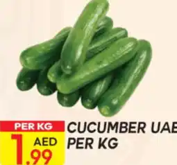 Dream Land Center Cucumber offer