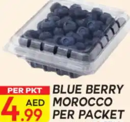 Dream Land Center Blue berry offer