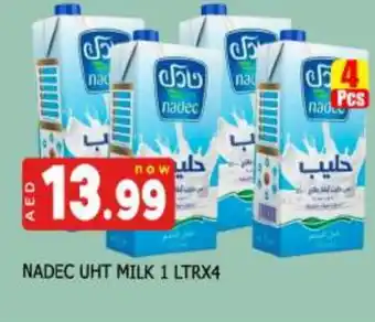 Al Madina NADEC Long Life / UHT Milk offer