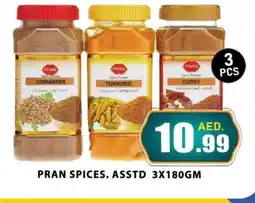 Al Madina PRAN Spices / Masala offer