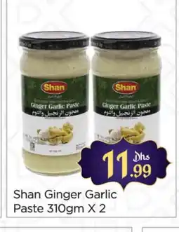 Al Madina SHAN Garlic Paste offer