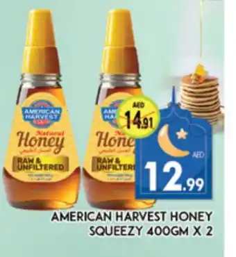 Al Madina AMERICAN HARVEST Honey offer