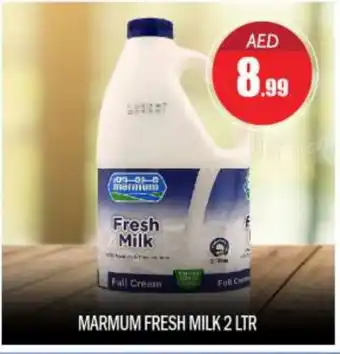 Bigmart MARMUM Fresh Milk offer