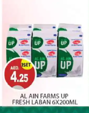 Talal Market AL AIN Laban offer