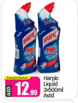 Bigmart HARPIC Toilet / Drain Cleaner offer