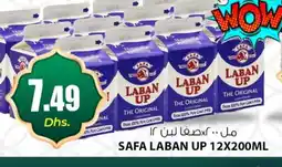 Meena Al Madina Hypermarket SAFA Laban offer