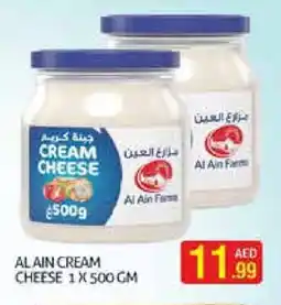 Palm Centre AL AIN Cream Cheese offer