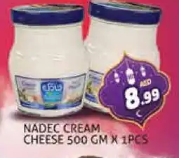 Palm Centre NADEC Cream Cheese offer