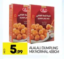 Al Madina AL ALALI Dumpling Mix offer