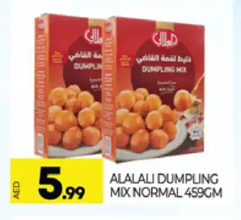 Al Madina AL ALALI Dumpling Mix offer