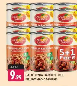 Shaklan CALIFORNIA GARDEN Fava Beans offer