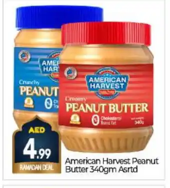 Bigmart AMERICAN HARVEST Peanut Butter offer