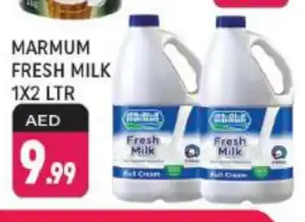 Shaklan MARMUM Fresh Milk offer