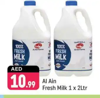 Shaklan AL AIN Fresh Milk offer