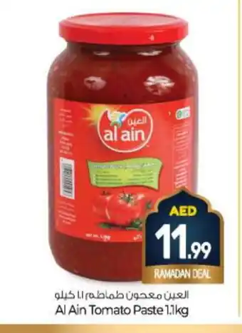 Bigmart AL AIN Tomato Paste offer