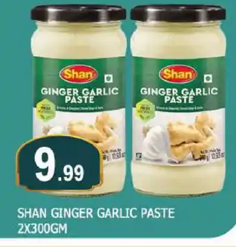 Al Madina SHAN Garlic Paste offer