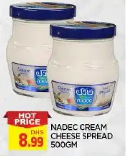 Al Madina NADEC Cream Cheese offer