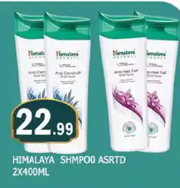 Al Madina HIMALAYA Shampoo / Conditioner offer