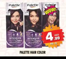 Night to Night Hypermarket PALETTE Hair Colour offer