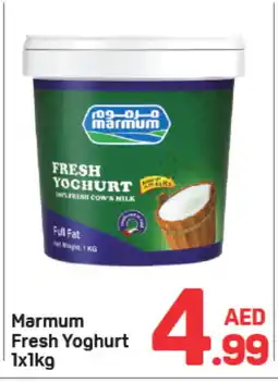 Day To Day MARMUM Yoghurt offer