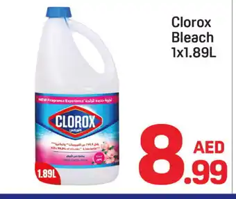 Day To Day CLOROX Bleach offer