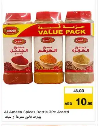 Nesto AL AMEEN Spices / Masala offer