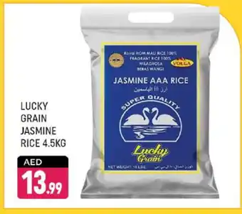 Shaklan VOLGA Jasmine Rice offer