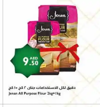 Istanbul Supermarket JENAN All Purpose Flour offer