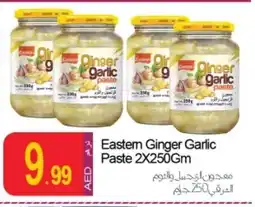 Rawabi Market EASTERN Garlic Paste offer