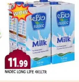 Al Madina NADEC Long Life / UHT Milk offer