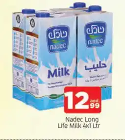 Al Madina NADEC Long Life / UHT Milk offer