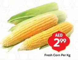 City Retail Supermarket Fresh Corn offer