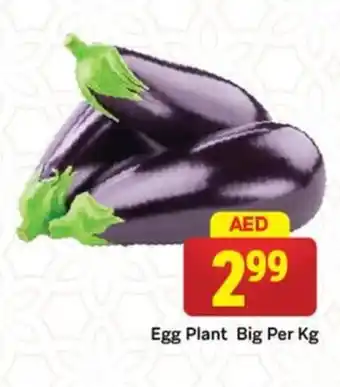 City Retail Supermarket Egg Plant Big offer