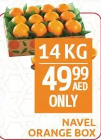 City Retail Supermarket Navel orange offer