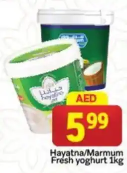 City Retail Supermarket Hayatna marmum fresh yoghurt offer