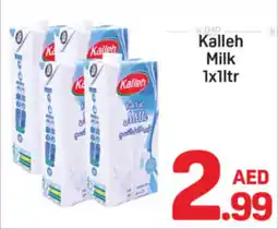 Day To Day Kalleh milk offer