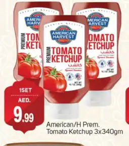 Talal Market AMERICAN HARVEST Tomato Ketchup offer