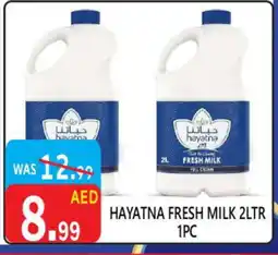 United Hypermarket HAYATNA Full Cream Milk offer