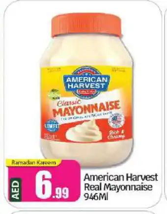 Bigmart AMERICAN HARVEST Mayonnaise offer