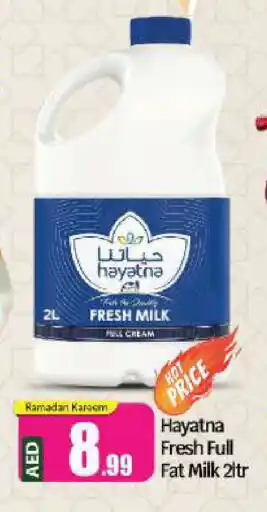 Bigmart HAYATNA Fresh Milk offer