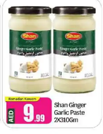 Bigmart SHAN Garlic Paste offer