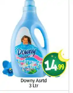 Bigmart DOWNY Softener offer